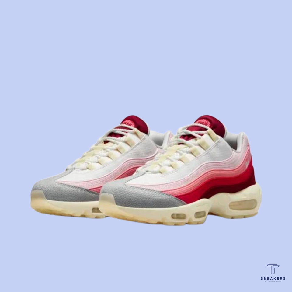 AIR MAX 95 ANATOMY OF AIR